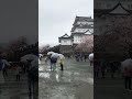 osaka castle under the rain 🇯🇵 japan travel explore japan osaka