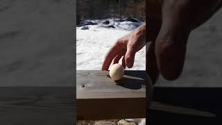 How to make an egg stand on its tip | Egg of Columbus | Yummy