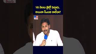 16 నెలలు జైల్లో పెట్టారు..అయినా సీఎంని కాలేదా? :  YS Jagan - TV9