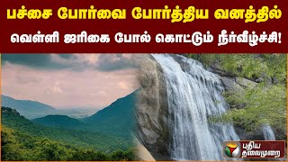 பச்சை போர்வை போர்த்திய வனத்தில் வெள்ளி ஜரிகை போல் கொட்டும் நீர்வீழ்ச்சி | PTT