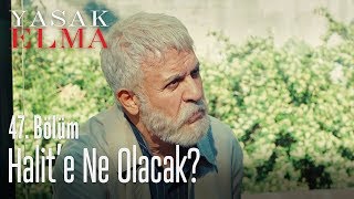 Halit'e ne oldu? - Yasak Elma 47. Bölüm