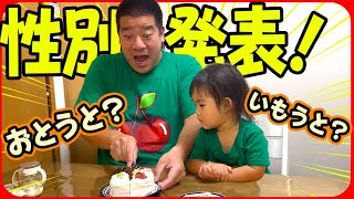 チェリーさんガチ初見😁大人気ケーキで第二子性別発表❣️