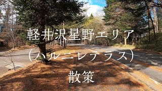 軽井沢星野エリア～ハルニレテラス～（Karuizawa Hoshino Area , HARUNIRE Terrace）散策