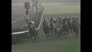 ウイニングチケット 1993年 第38回有馬記念(GI) (優勝馬：トウカイテイオー) (実況：ラジオたんぱ版)