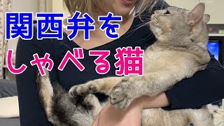 キスされそうになりママに助けを求める！おしゃべりペット