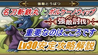 【ドラゴンクエストウォーク】バラモスブロスLv30簡単攻略方法解説【こころで倒せ】名刀斬鉄丸、ボルケーノウィップ使用