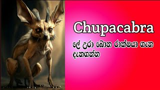 Chupacabra..කියන ලේ උරාබොන මිත්‍යා සත්වයා ගැන දැනගන්න