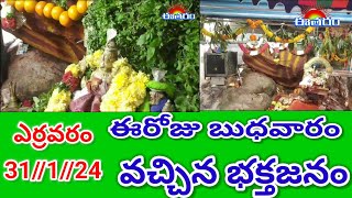 ఈరోజు బుధవారం 31//1//24ఎర్రవరం బాల ఉగ్ర లక్ష్మీ నరసింహ స్వామి సన్నిధిలో భక్తజనం