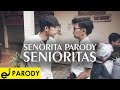 SENORITA PARODY (SENIORITAS)