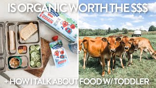 IS ORGANIC WORTH THE $$ PLUS HOW I TALK ABOUT FOOD W/ MY TODDLER + WHAT'S IN HIS LUNCH