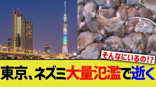 東京、ネズミ大量氾濫で逝く