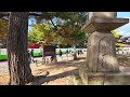 【奈良公園は凄かった】お辞儀をする鹿と人 紅葉シーズンの奈良を歩く nara deer park 2024 12 11