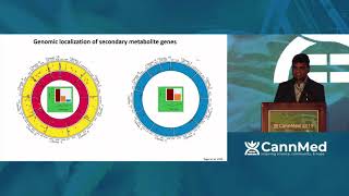 Quantitative Chemomics: A novel genomic selection approach for precision breeding of high quality re