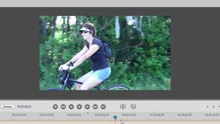 Using the Motion Tracking Tool in Premiere Elements