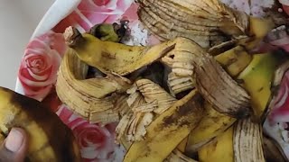 how to make banana peels fertilizer/ అరటి తొక్కలతో మొక్కలకి బలమైన ఎరువు తయారీ విధానం