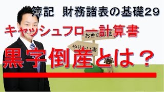 簿記　財務諸表の基礎２９　キャッシュフロー計算書とは何か？