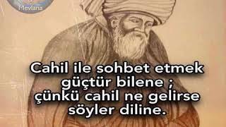 Cahil ile sohbet etmek güçtür biline, çünkü cahil ne gelir söyler diline.