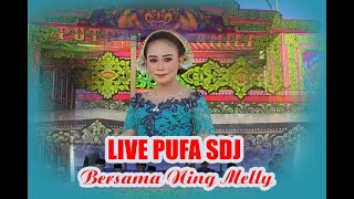 Live Pufa SDJ Triwungann - Kotaanyar Pesta Pernikahan Intan & Hasyim