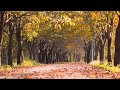 Wind In Trees Sound Effect No Copyright