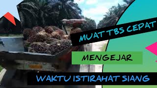 Proses bongkar muat sebelum istirahat siang