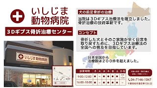 【犬の前足骨折】３Dギプス治療法を全国に普及させることを目指しています。