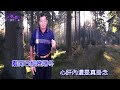 邱四湖 精選單曲 痛一生 詞 邱四湖 曲 傑米 一級棒影音