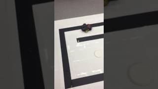 Bug Zero Algorithm ECE 452