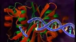 Amazing HIV Replication   YouTube