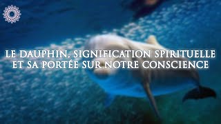 🐬 LE DAUPHIN, SIGNIFICATION SPIRITUELLE ET SA PORTÉE SUR NOTRE CONSCIENCE