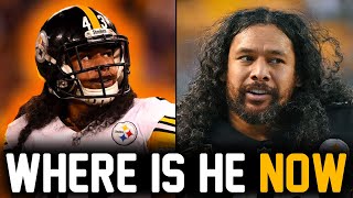 What Happened to the MOST ICONIC NFL Safety of the Century? (Troy Polamalu)