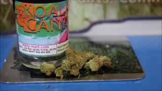 Koala Canyon Platinum Girl Scout Cookie (GSC) Strain Review 420