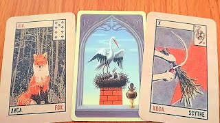 SUY NGHĨ THẦM KÍN này của Họ có thể khiến Bạn KHÔNG NGỜ TỚI / Tarot Reading