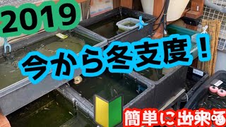 今からメダカの冬支度！2019