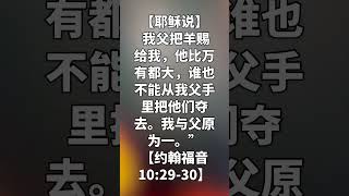 约翰福音10:29-30