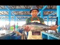 Amazing Skill ... !! Om Alun Potong Ikan Tuna Segar Untuk Kuliner Nasi Kuning