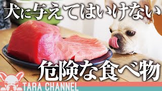 今すぐやめなさい！犬に食べさせてはいけない危険な食べ物【フレンチブルドッグ】