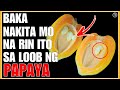 BAKA IKAW NA LAMANG ANG DI NAKAKAALAM  NG MGA BISANG TAGLAY NG PRUTAS NA PAPAYA | Bhes Tv