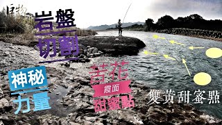 釣魚狂人4K 大自然，鬼斧神工，河道變更，大甲溪大洗牌 Stream Fishing Taiwan