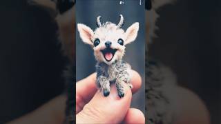 See what I found🤩. A very cute and small goat🐏. #Cute Animal #AdorableCreatures#Animal Lovers #funny