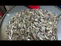 jatrabari wholesale fish market যাত্রাবাড়ি পাইকারি মাছের বাজার