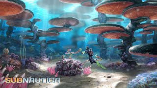 I am not alone! | Subnautica Multiplayer - part 1