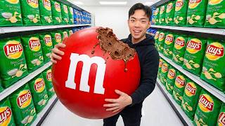 I Bought the Worlds Biggest Snacks!
