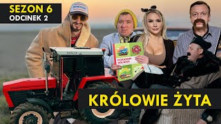 KRÓLOWIE ŻYTA Sezon 6 odc. 2 I Kabaret Malina I Nowy Biznes Na MŁOT-POLU