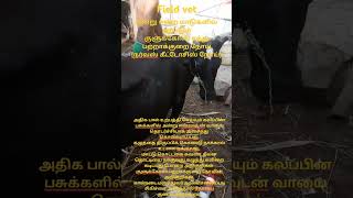 Field vet - கன்று ஈன்ற மாடுகளில் ஏற்படும் குளுக்கோஸ் பற்றாக்குறை நோய்