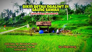 BIKIN BETAH NGALIWET DI SAUNG SAWAH SAMA IKAN ASIN KAREDOK LEUNCA KANGKUNG,KAMPUNG TASIKMALAYA