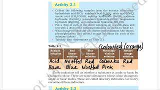 Activity 2.1 Class X Science CBSE NCERT Acid bases and salts