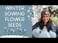 Winter Sowing Flower Seeds - Tips for Success