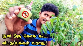 How to Make Natural Mosquito Repellent Liquid? | இனி ஒரு கொசு கூட வீட்டுப்பக்கம் வராது!