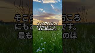 宮崎駿【人間が貴いと思う、“無私” とか “純粋” というこころの働きは、そこらにある石ころにもあるものです】 #shorts