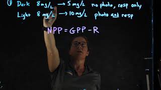 Productivity Calcs #1